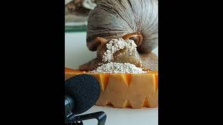 Recorded A Snail On Microphone | Funny Asmr