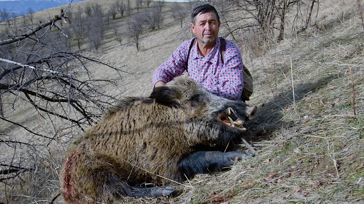 Hunting in Tajikistan for wild boar www.hunting.az