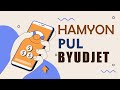 Hamyon   pul, byudjet