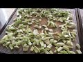 Dehydrating Pak Choi (Bok Choi) Rehydrating and a Taste Test at the end 😊