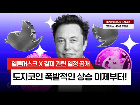   도지코인 10배 상승 그림 나왔다 트위터 X 결제 시스템 런칭 눈 앞