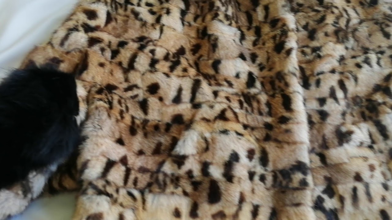 Animal print fur poncho