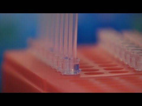Creating DNA from Scratch in a Lab [THE BIG IDEA: Genetic Frontiers]