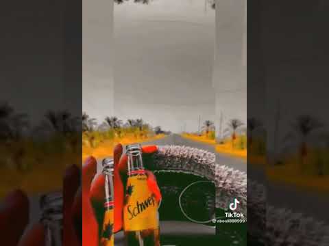 افخم حالات واتس الي يعني برحتو 2021