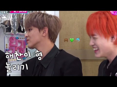 [엔시티 천러 해찬] 곰돌즈 우정 뽀에버