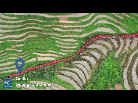 Tying the knot on Guilin's rice terraces!