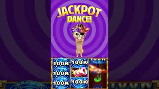 Watch the #Cat #Jackpot #Dance! screenshot 2