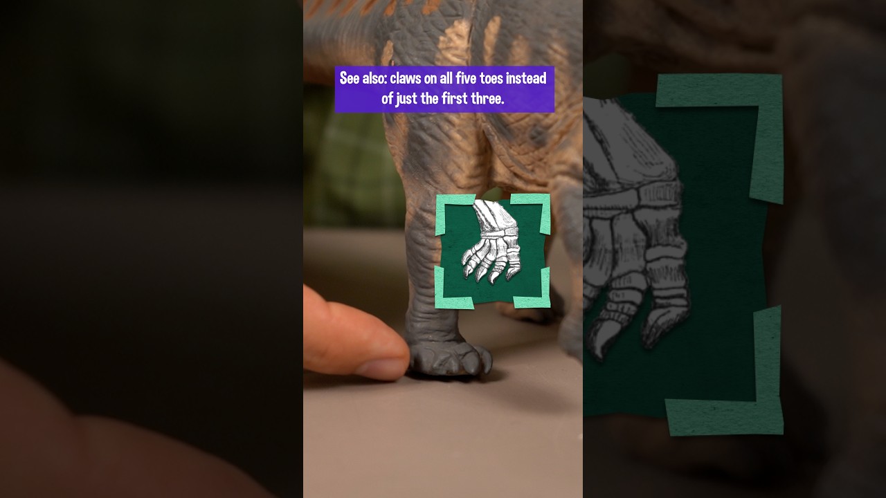 No one expected sauropod necks to be like that...