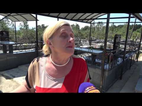 ავტოქარხნის მიმდებარე ტერიტორიაზე  დღეს ადგილობრივებმა მარადმწვანე ხეების მოჭრის ფაქტი გააპროტესტეს