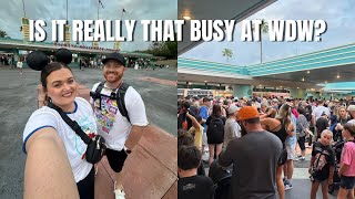 Visiting Walt Disney World Over Spring Break. Worth It?