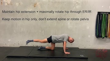 Quadruped Hip Extension Axial Rotation