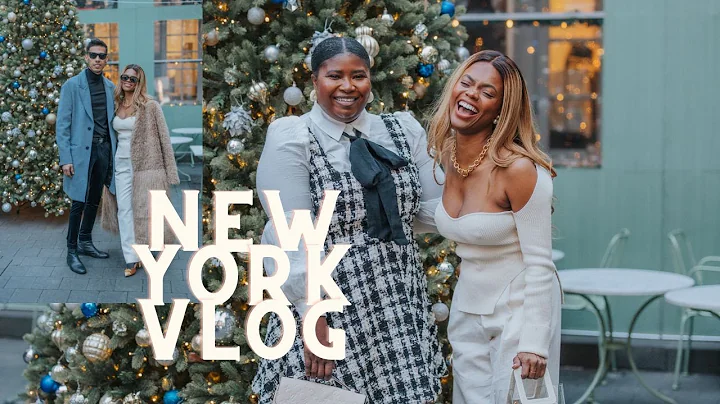 NEW YORK VLOG: AMERICAN DREAM MALL, Fleishman in trouble! khaite top| DadouChic