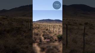 The Great Karoo, Explained.