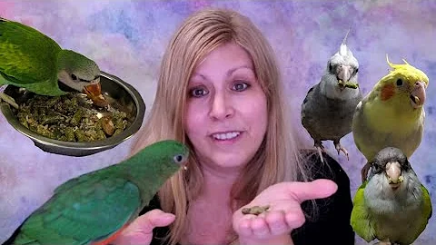 My Birds Try Marlene McCohens Signature Blend Bird...