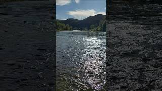 Вост.Казахстан, р.Малая Ульба,22-23.07.2025.Malaya Ulba River,Eastern Kazakhstan.