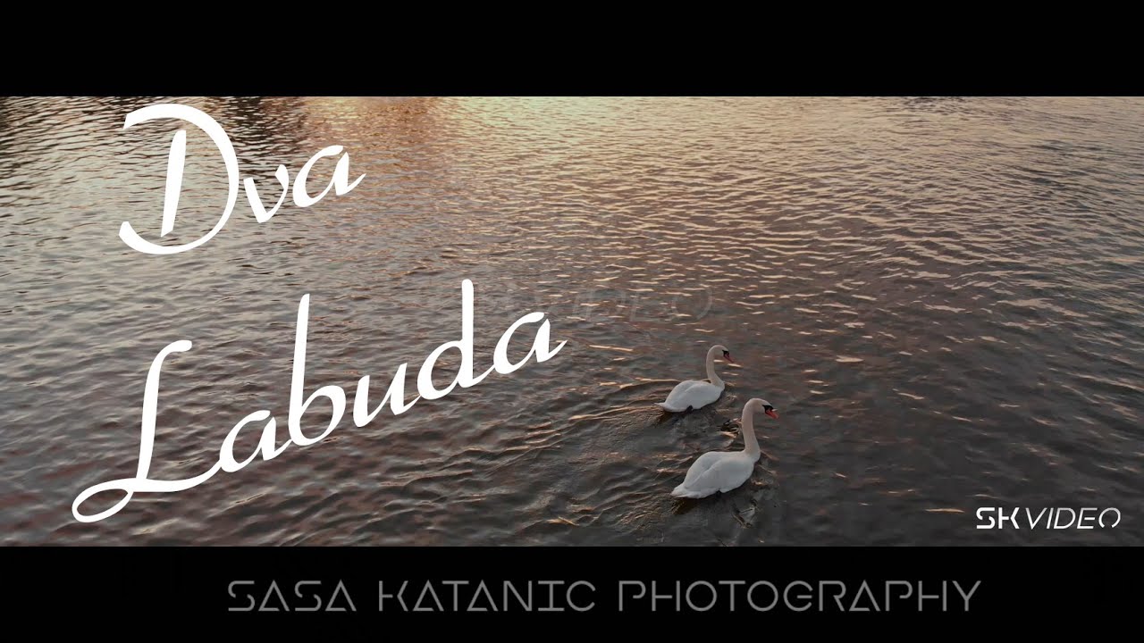 Labudovi MODRIČA 2019 - Mavic Air 4K