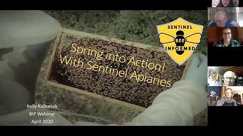 Spring into Action with the Sentinel Apiary Program