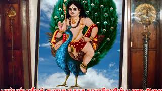 PAMBANSWAMIGAL ARULIYA AARELUTHU UNMAI