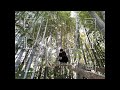 Barking Dog "LOST"[リリックビデオ]