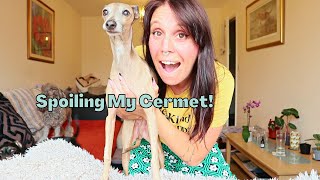 day in the life with an Italian greyhound