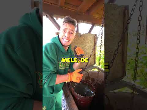 Video: Cum faci o sortare cu găleată?