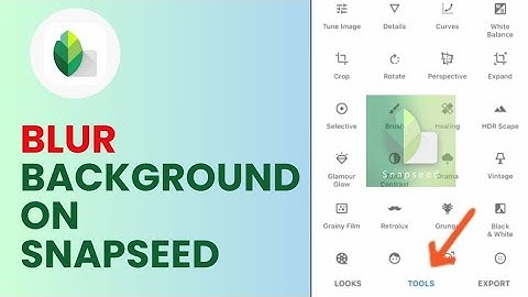 How to Blur Background on Snapseed 2024?
