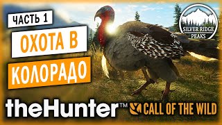 theHunter Call of the Wild #1 🦃 - Охота в Колорадо - Заказник \