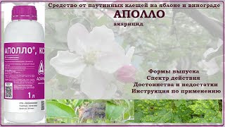 Аполло - эффективный акарицид против растительноядных клещей на яблоне и винограде. Обзор