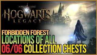 All Forbidden Forest Collection Chests Hogwarts Legacy Details