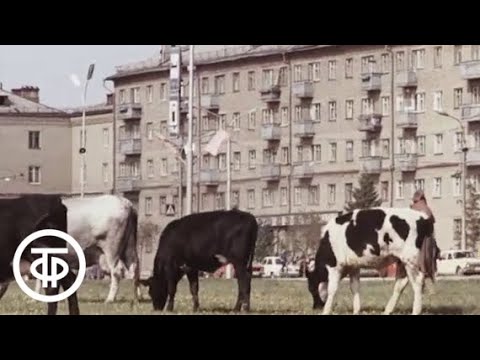 Video: Bagaimana Menuju Ke Kamensk Uralsky