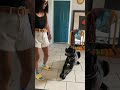 犬にさせる。捕まえない、追いかけない。#shorts #ドッグトレーニング