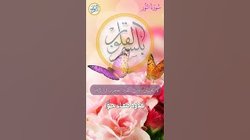 من سورة النور بصوت يجلو القلب || صفاء حوا|| Aİ