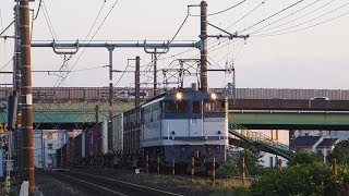 東北線  EF65/EH500牽引貨物列車   東大宮-蓮田③