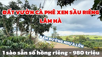 Bán Đất Vườn Lâm Hà Đẹp – Duy Nhất 1 Lô Giá Rẻ, Sẵn Cây Trái, Mặt Tiền Đường Nhựa!