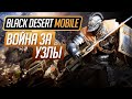 Black Desert Mobile - Война за узлы (осада узлов). Гайд по основам.