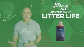 An Overview of Litter Life Resimi