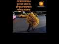 ঈমানের পরিক্ষা🌺যেখানে ফুলেরা কখনও ঝরে না❤️🌺 #islamicstatus#tending #reels #viral#freepalaestine#gaza