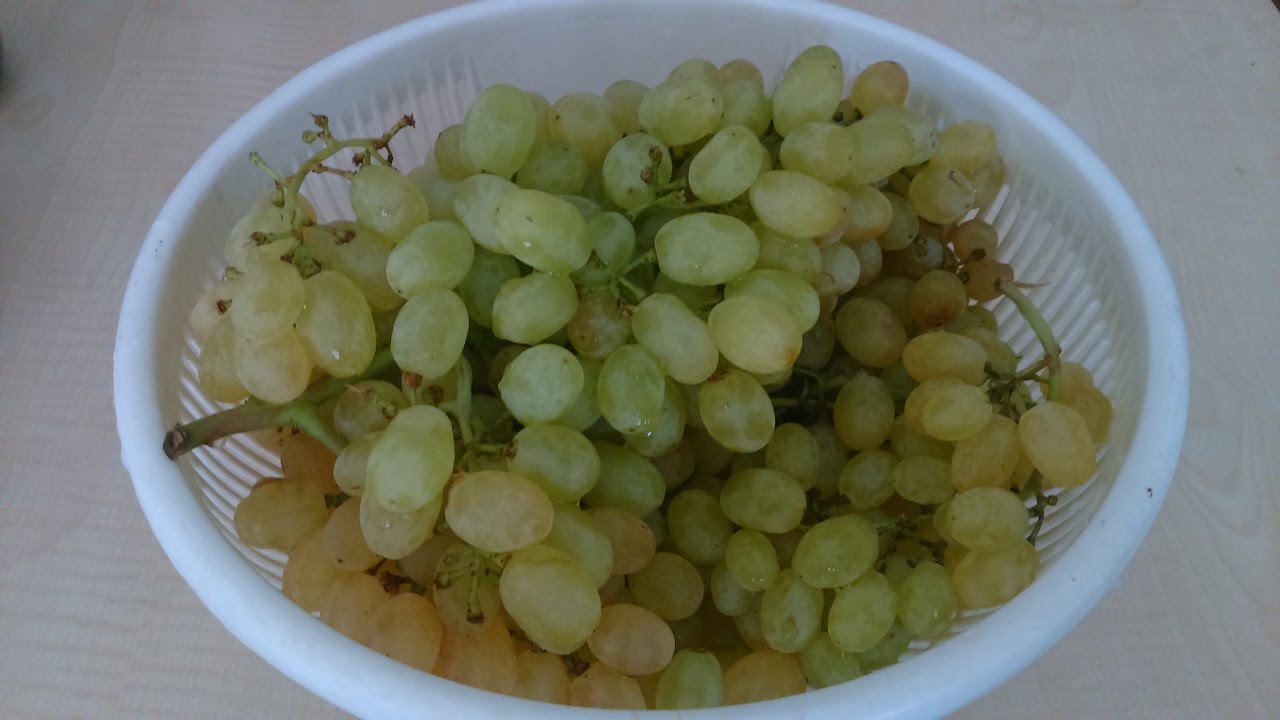 Üzüm Sirkesi Nasıl Yapılır - YouTube