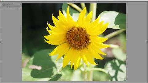 Workflow Walkthrough #10 - Darktable Import Settings