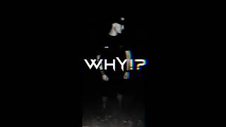 Pagger Buam - Bibihenderl (WHY!? Hardstyle Remix)