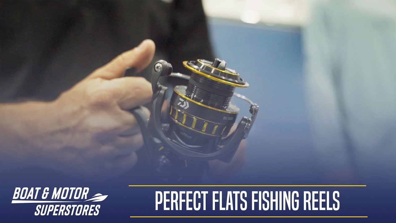 best counter reel for the money for saltwater Daiwa Lexa-LC 5.5:1 Line Right Hand Baitcast Fishing w/ Power Handle Apprise_Sections__4 resistant build for precision Product Intro: Bass Boat Accent Color:Blue