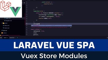 Laravel Vue SPA Issue Tracker part 5: vuex store modules