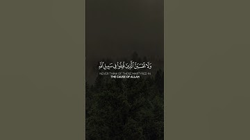 تلاوة جميلة للقرآن الكريم -  Part51 | #قرآن #قران_كريم #quran