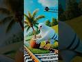 Emotional Pigeon Coconut Tree Story 🐦🥥 #ai #shorts #pigeon