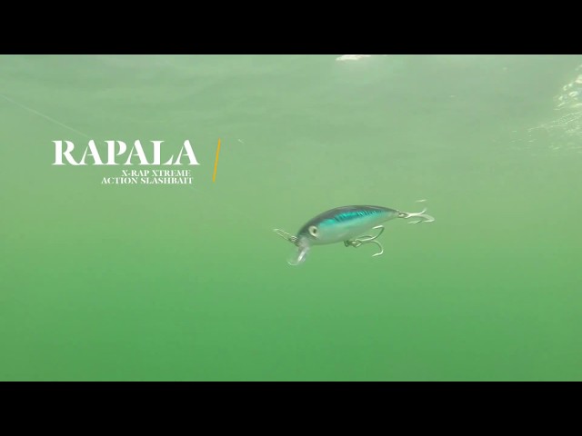 How Lures Swim: Rapala Saltwater X-Rap, 44% OFF