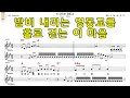 비내리는영동교 주현미 악보와노래