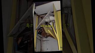 어느날 주방이 무너졌다 #브이로그 #vlog #해외취업 #자취방 #자취생 #자취일상 #룸투어