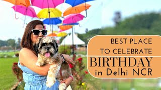 Best Birthday Celebration Places in Delhi NCR | BuzzStreet.Social | Best Place to Visit in Gurgaon