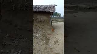 নদীর পাড়ে প্রাচীন হাট। #shorts #oldmarket