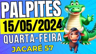 Palpites Do Dia 15/05/2024🍀 TODAS AS LOTERIAS 🍀